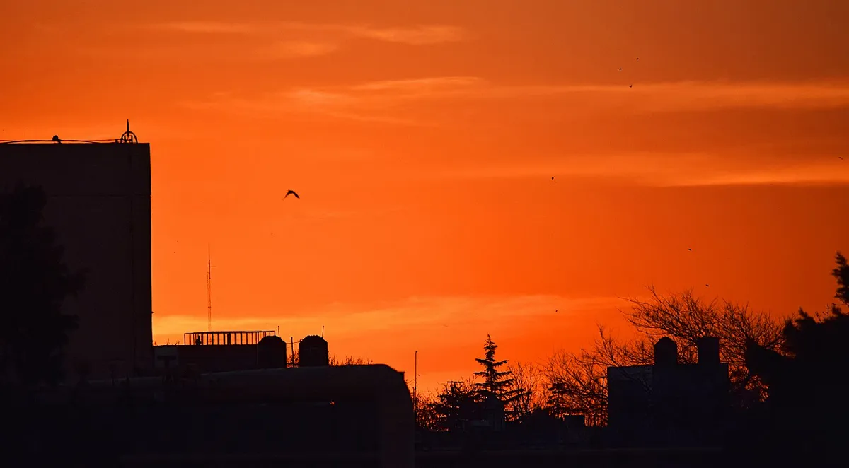 atarceder-rosario-clm