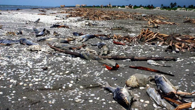 f800x450-160250_211696_5050