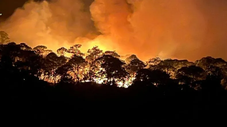 incendios-forestales-canada