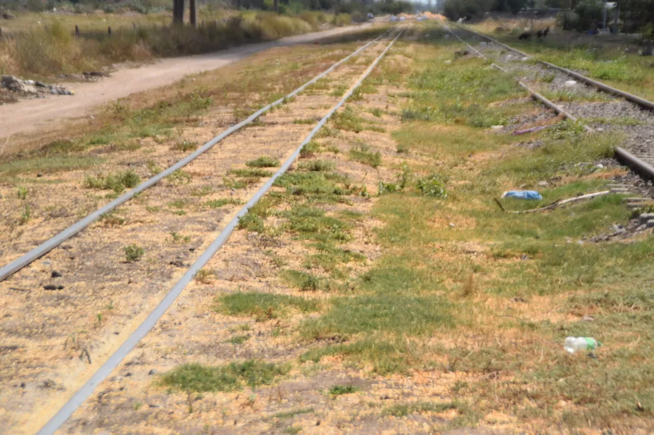 WhatsApp Image 2023-03-18 at 13.03.43