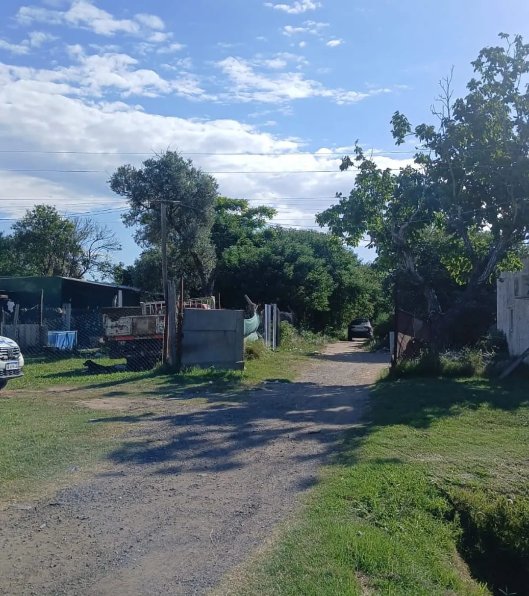 WhatsApp Image 2025-01-08 at 15.05.28