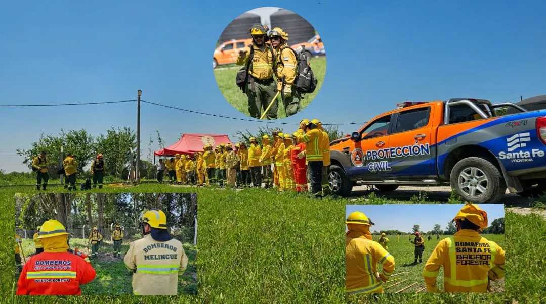 WhatsApp Image 2024-11-23 at 17.07.27