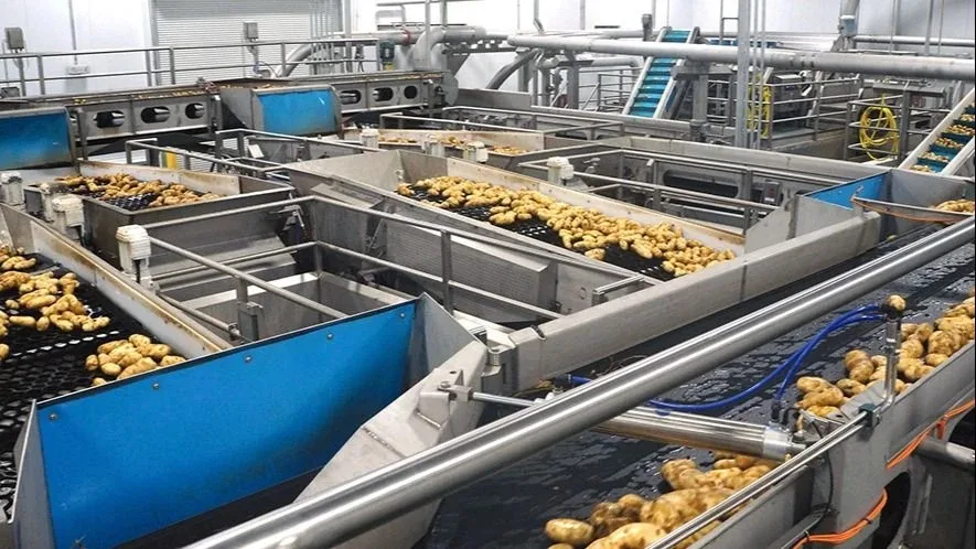 papas-fritas-fabrica-1