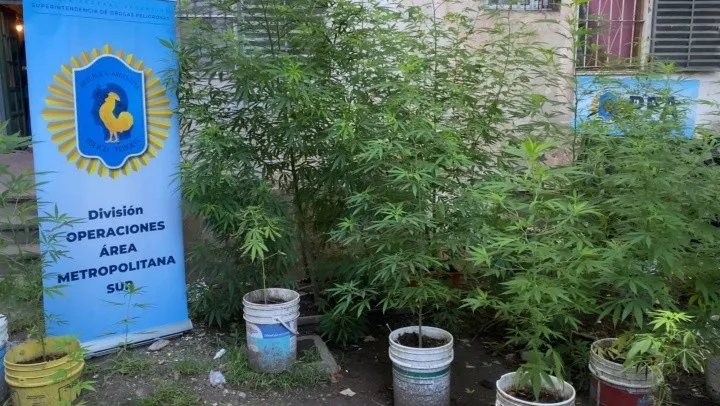 pfa_f_varela_plantas.jpg_1732004486