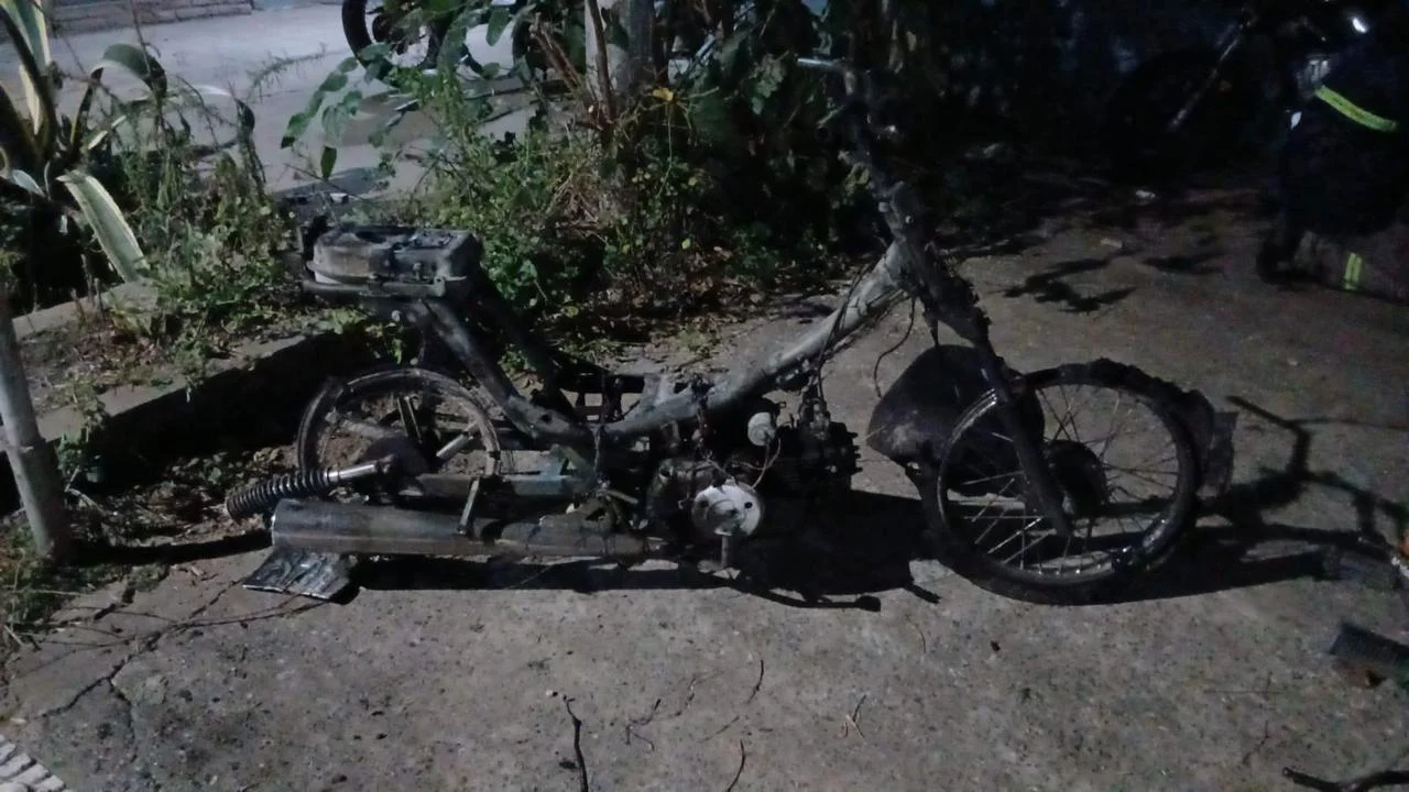 WhatsApp Image 2026-03-25 at 16.23.12