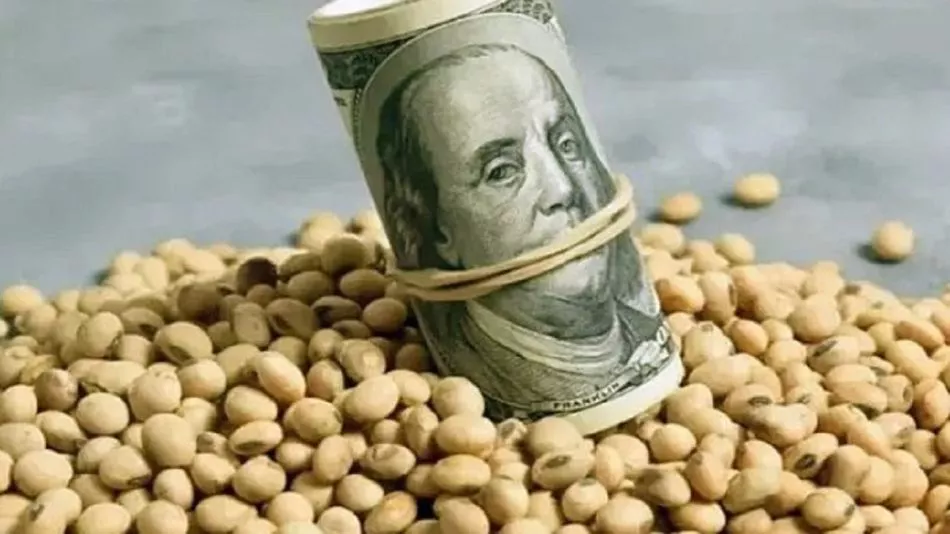 dolar-agro-que-se-esperar-del-inminente-anuncio-del-gobierno-1541536