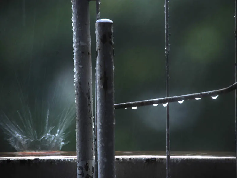 49822392617_9e1e8e24cc_o