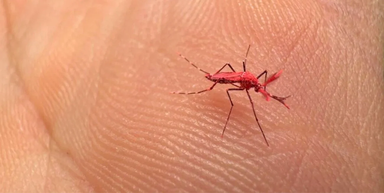 T48LRVw3k_1300x655__1