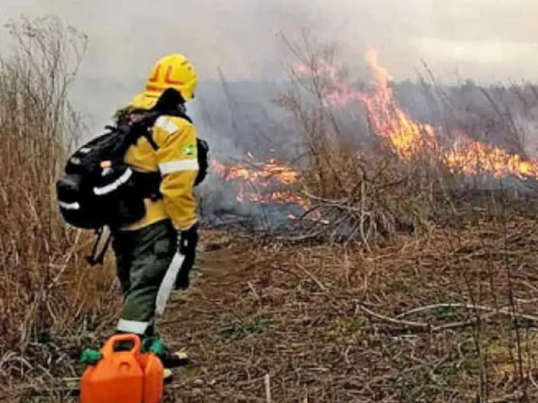 ecocidio-incendio-1-768x576