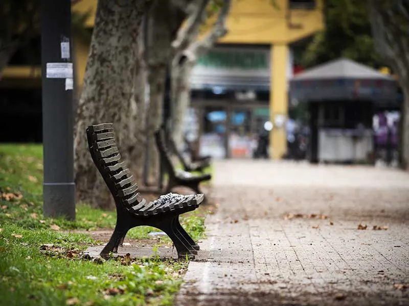 49805945373_db714ca58b_o