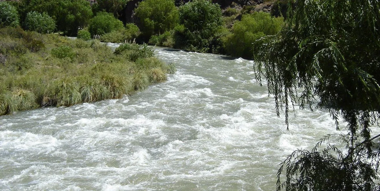 5rs8tlXLj_1300x655__1