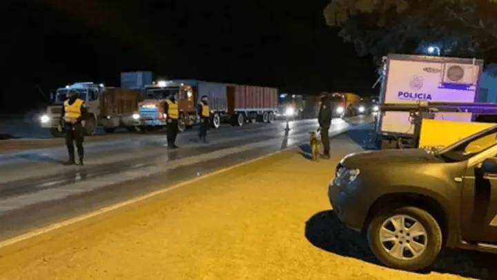 piratas_1_crop1713201679745.png_1833193316