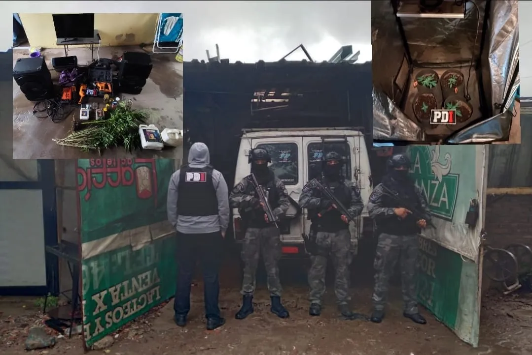 WhatsApp Image 2025-11-08 at 17.08.01