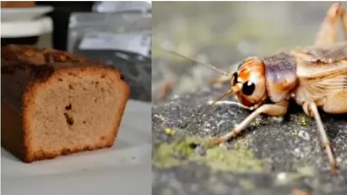 Screenshot_20231018_223722_Facebook