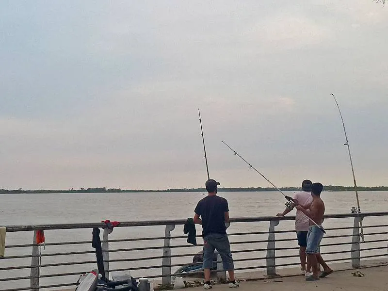 pescadoes-costanera-rosario