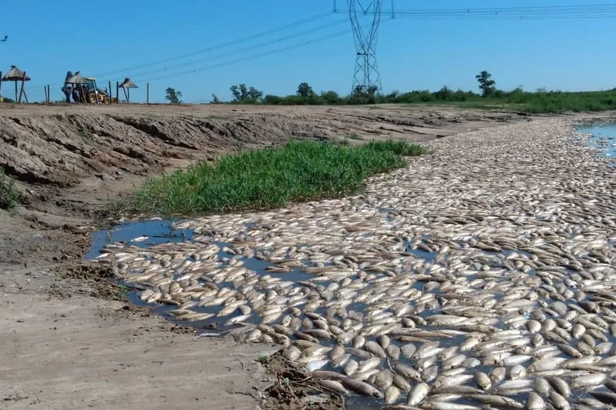 DRdTWOxH5_870x580__1