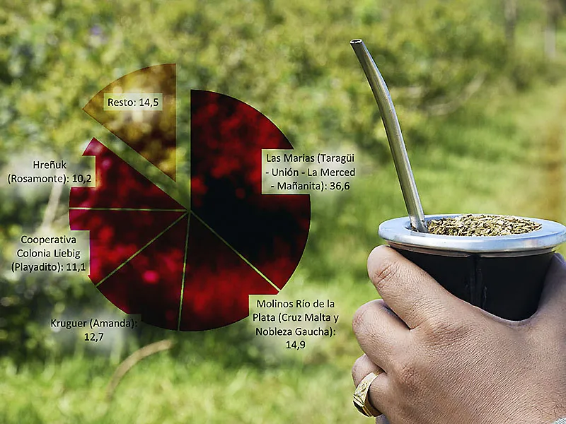 Proyecto-nuevo-100-1