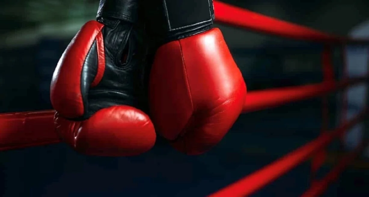 5kBKvjxOt_1300x655__2