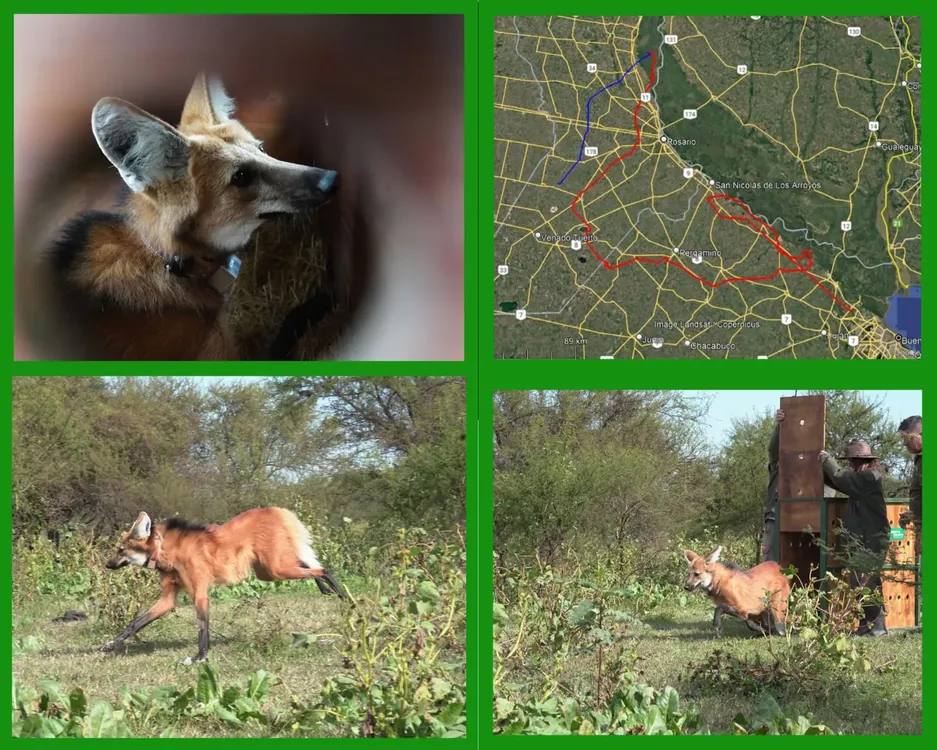 WhatsApp Image 2025-02-07 at 12.48.30