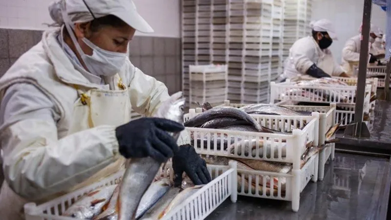 pescado_2.jpg_1756841869