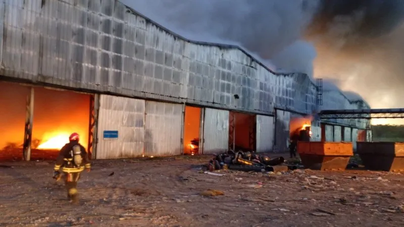 fuego1.jpg_815021172