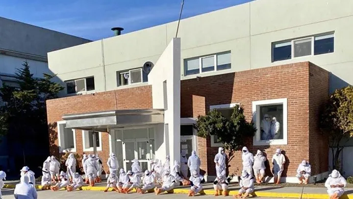 whatsapp_image_2024-07-30_at_12_09_46.jpeg_533162088