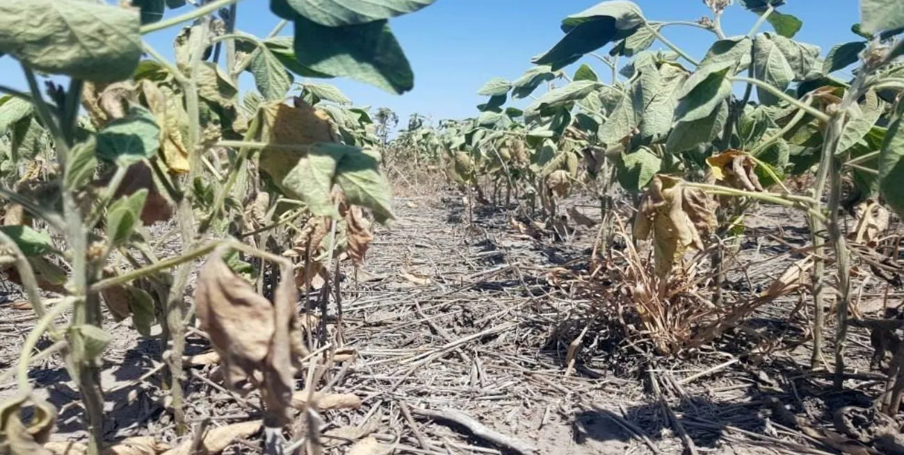 -uDM28W7y_1300x655__1