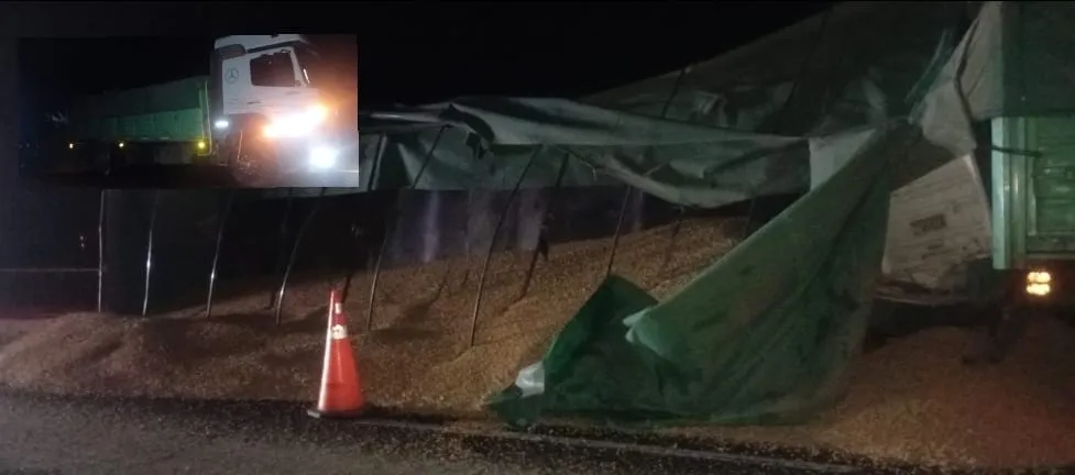 WhatsApp Image 2026-02-06 at 17.43.54