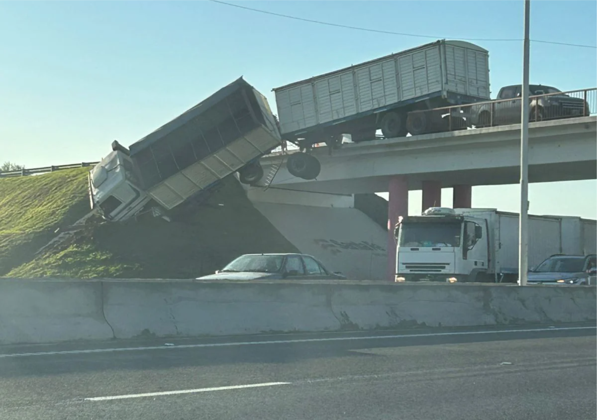 WhatsApp Image 2026-02-26 at 17.05.18