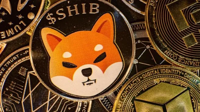 shiba-inuwebp