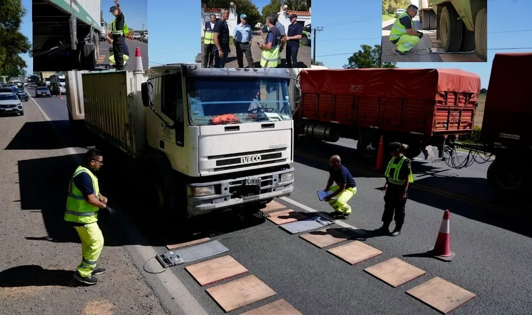 WhatsApp Image 2026-01-05 at 12.14.37