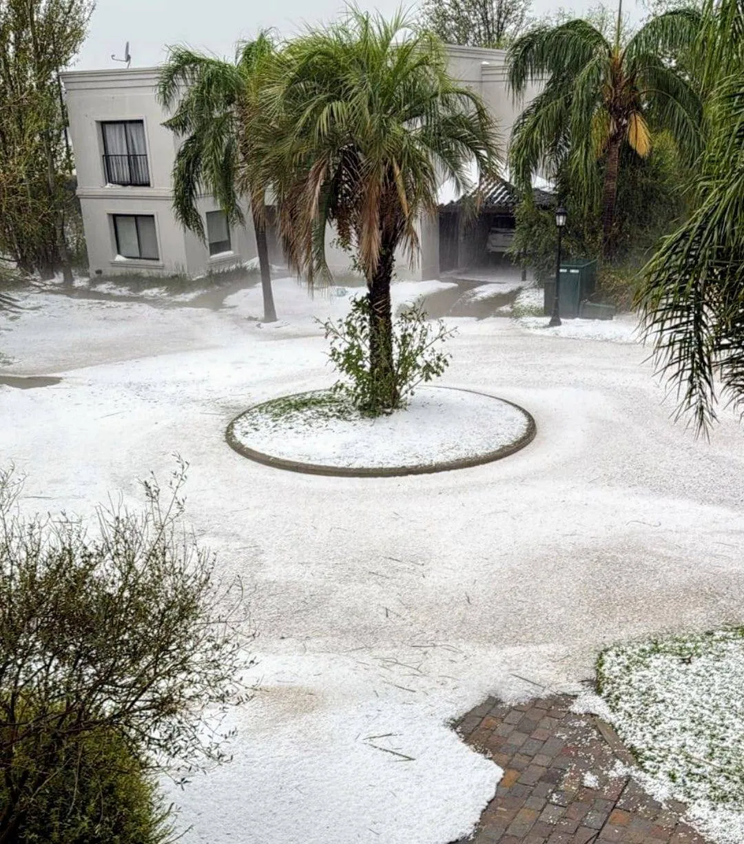 Proyecto-nuevo-2025-03-28T095758.457