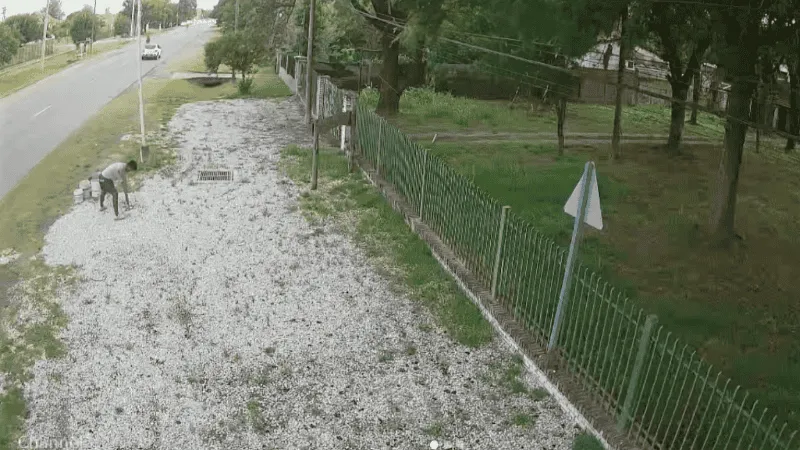 disen-o_sin_ti-tulo_-12-.png_1286267701