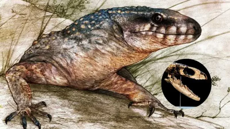 dinos