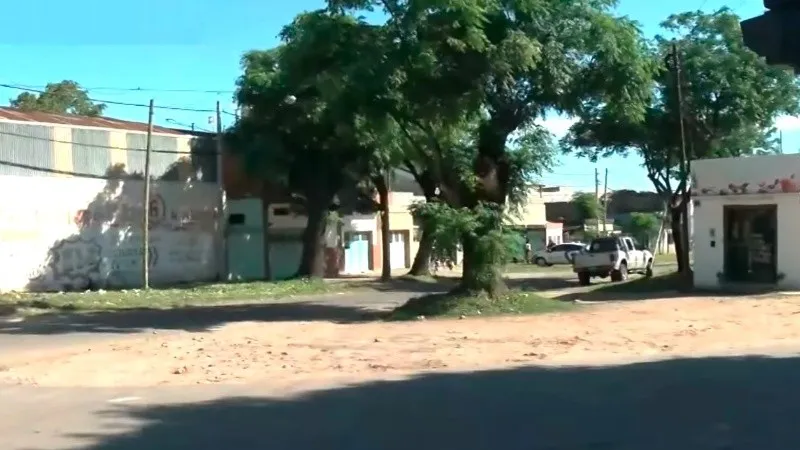 arbol.jpg_1756841869