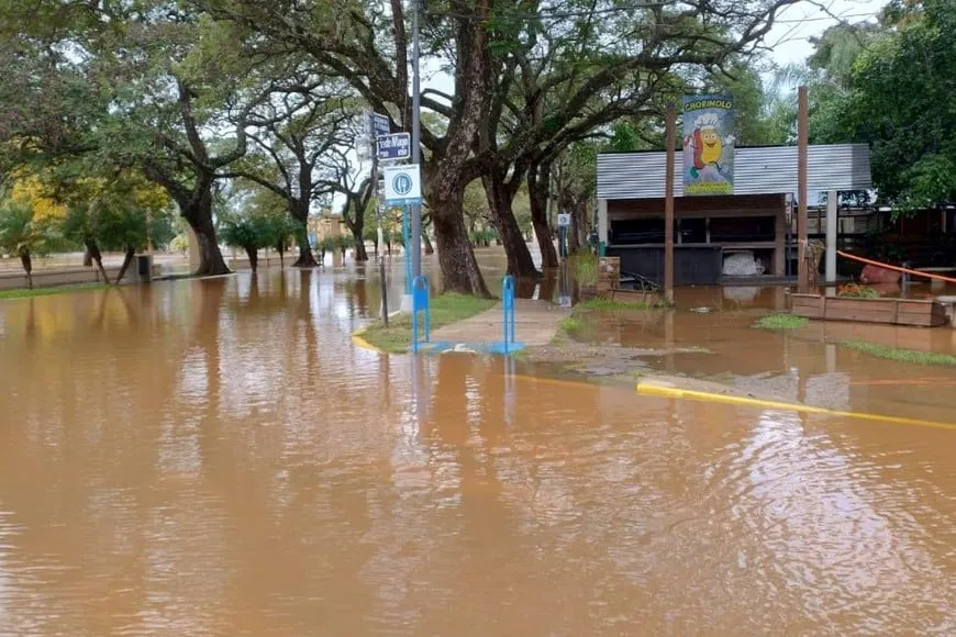 LKxNZIPav_870x580__1