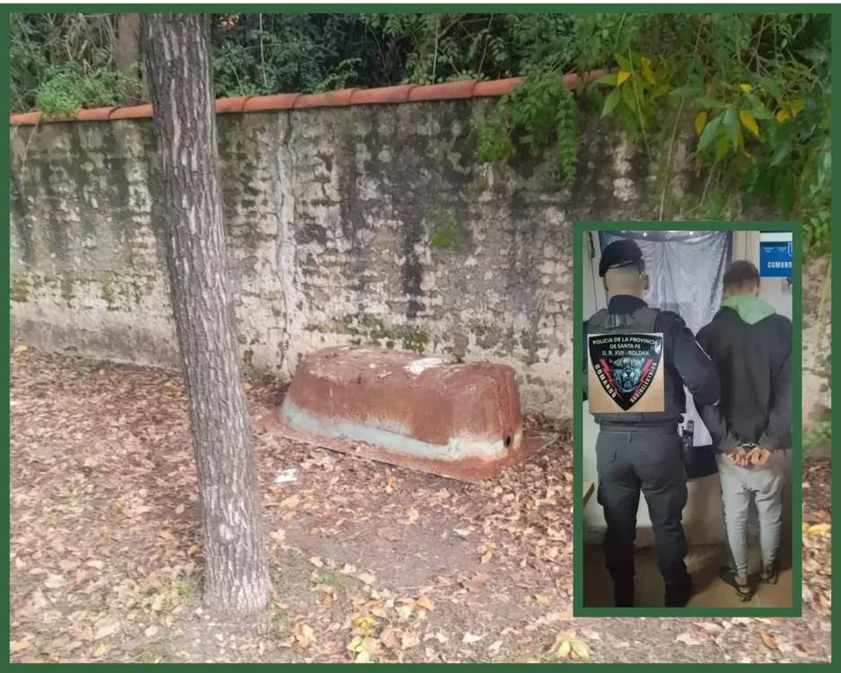 WhatsApp Image 2024-05-04 at 02.24.06