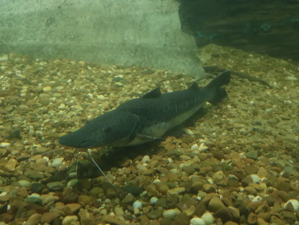 add965f3-6775-4771-8209-6fb57faf544d