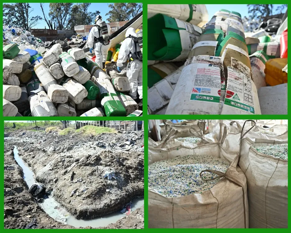 WhatsApp Image 2024-10-04 at 22.14.32