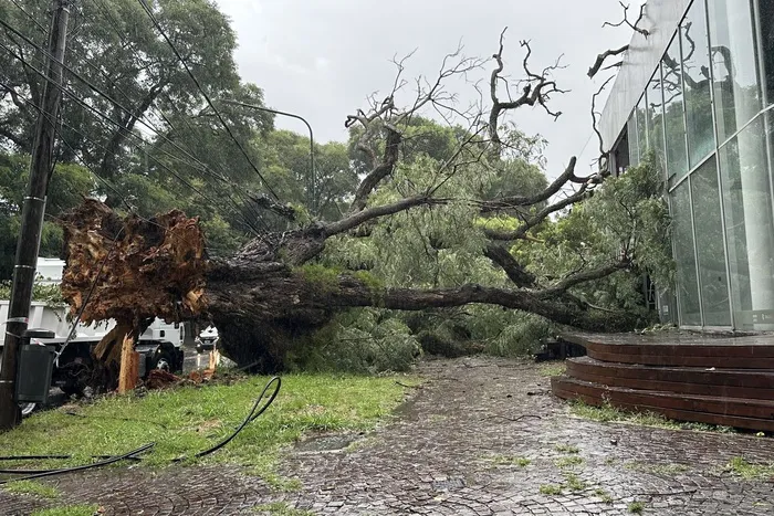 912625-portada-20tormenta-20amba