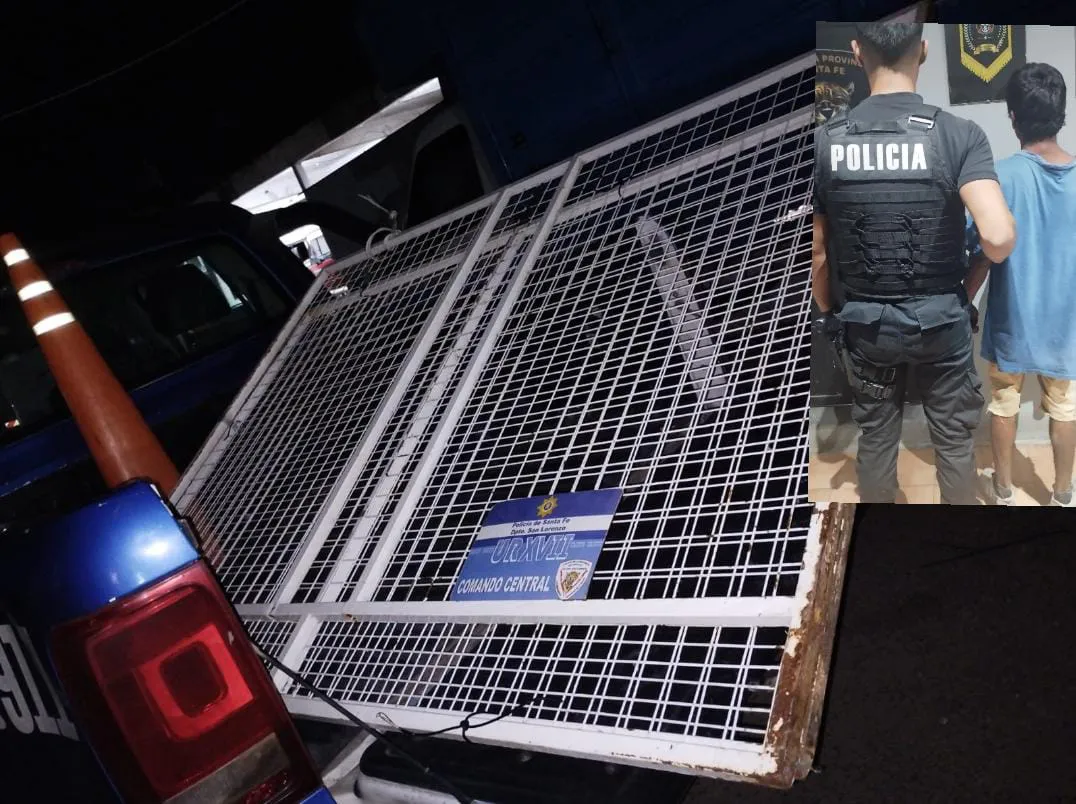 WhatsApp Image 2025-01-10 at 15.42.56