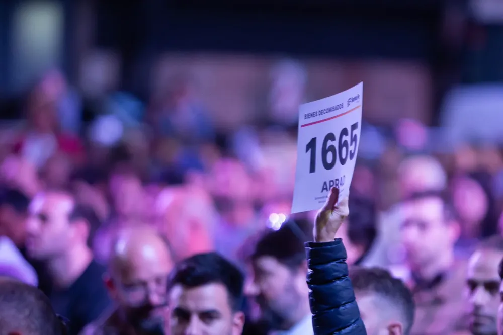 WhatsApp Image 2024-09-01 at 09.03.19