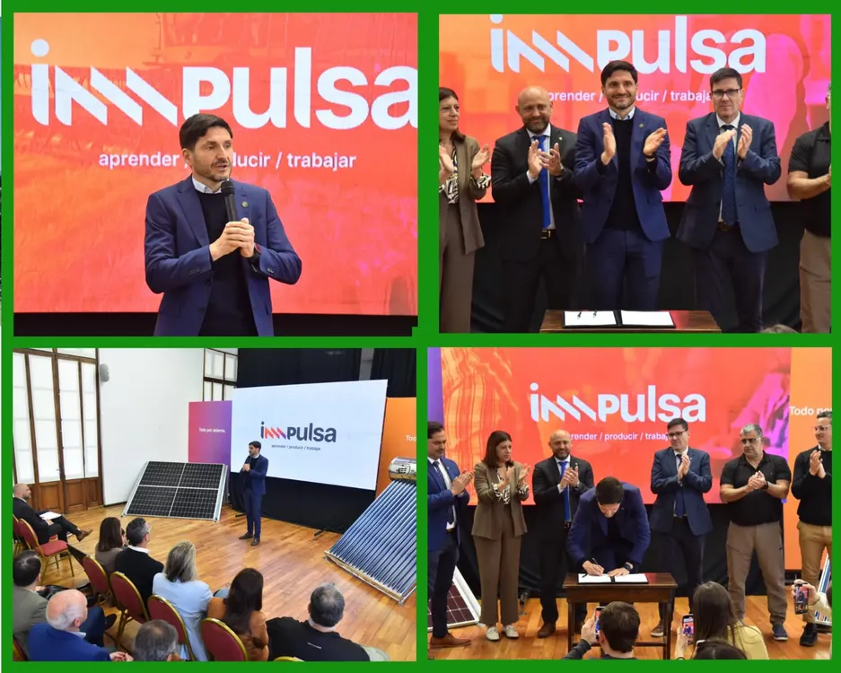 WhatsApp Image 2024-09-16 at 18.21.01