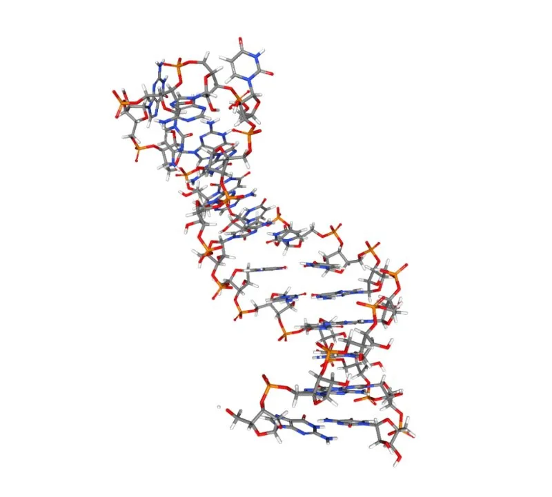 arnmicro.jpg_1902552683