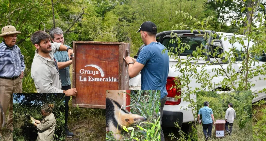 WhatsApp Image 2025-03-03 at 12.33.42