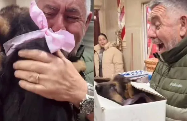 Proyecto-nuevo-2025-06-16T112552.289