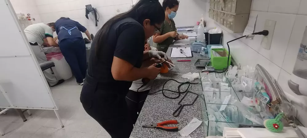 Imagen de WhatsApp 2023-01-31 a las 09.53.35