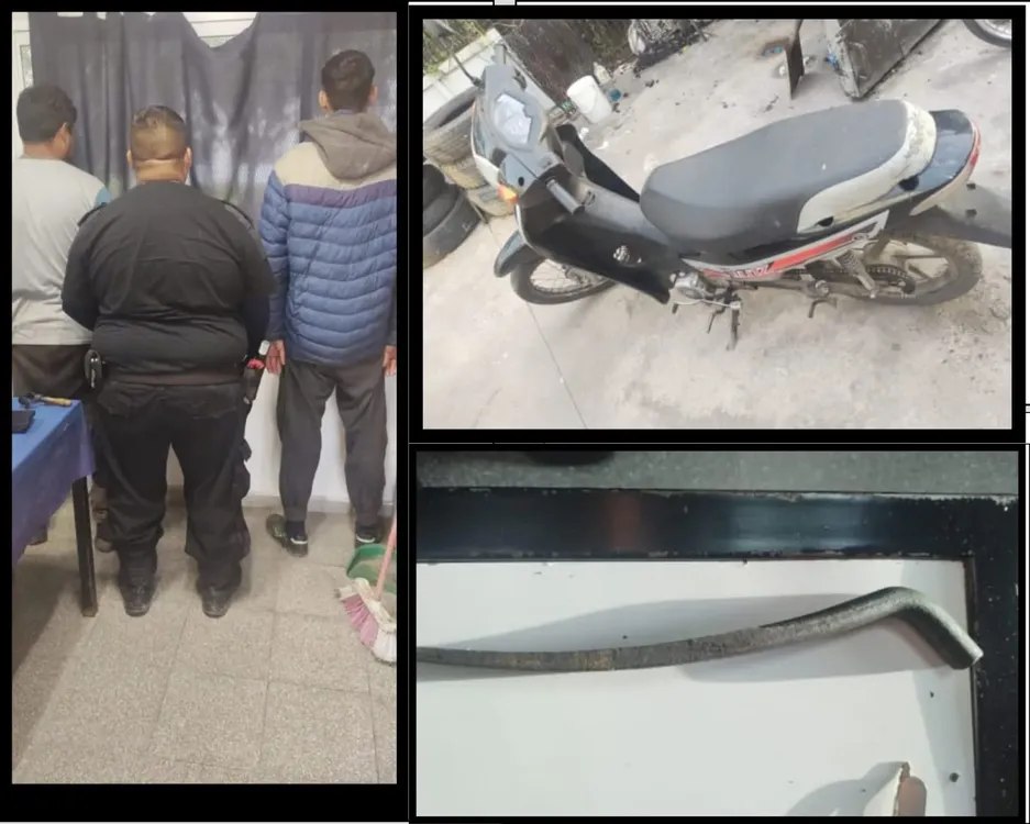 WhatsApp Image 2024-04-02 at 3.54.19 PM