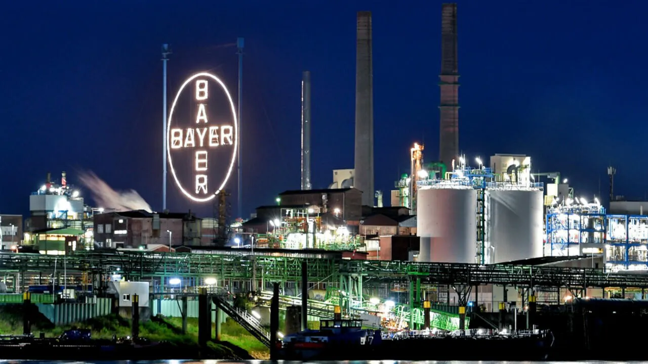 bayer
