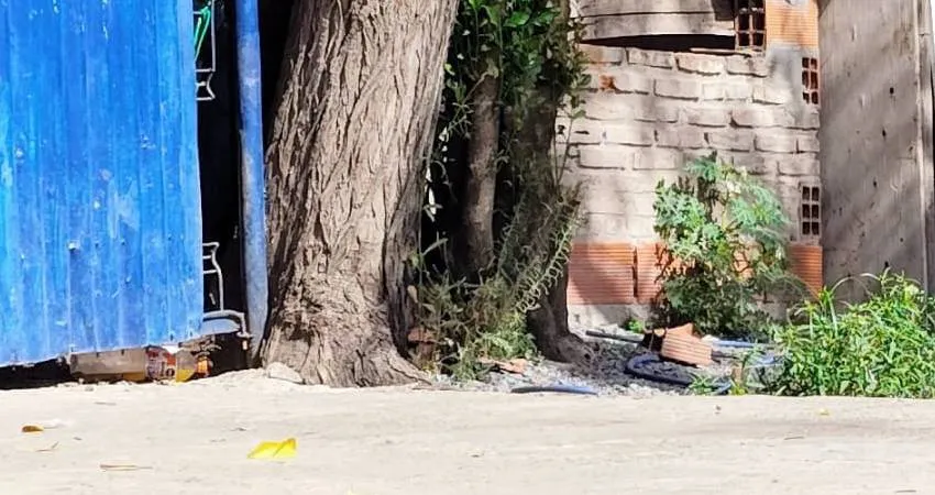 Proyecto-nuevo-2025-01-10T100454.361